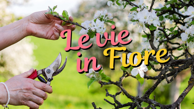 Formazione on line per “Le vie in Fiore”; il primo incontro sulla potatura degli alberi
