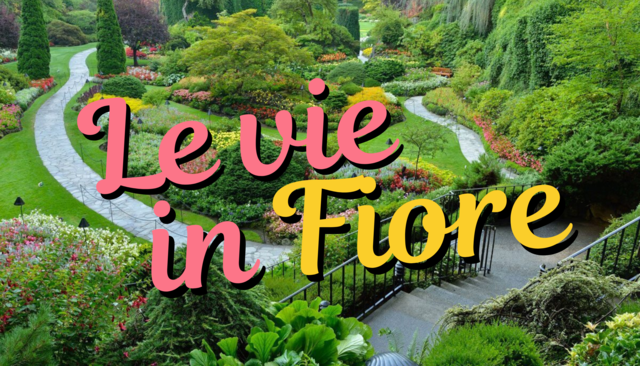Paesaggio, tra ambiente ed estetica: nuovo appuntamento formativo con "Le Vie in Fiore"