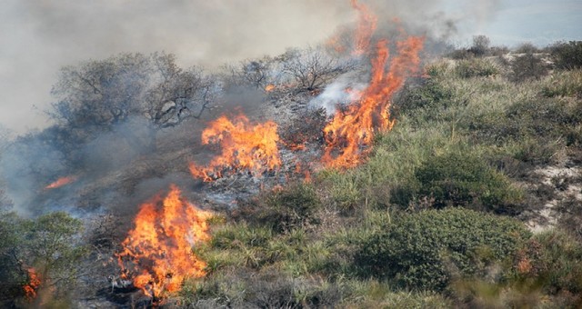 L.R. 39/00 PROROGA del periodo a rischio per lo sviluppo incendi boschivi fino al 30 SETTEMBRE 2019