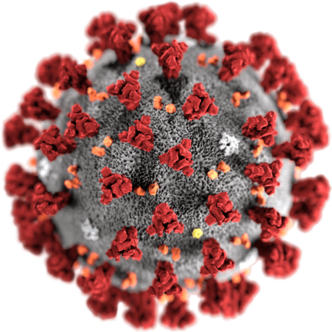 Coronavirus: i 10 comportamenti da seguire